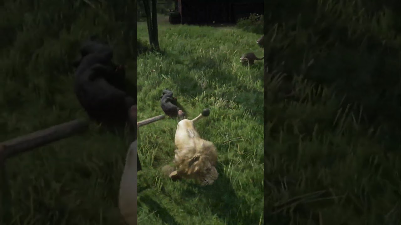 Experts in survival in the wild world | p1765 , 