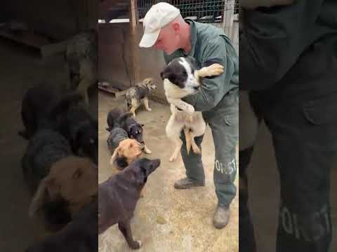 THEODOR - März 2026