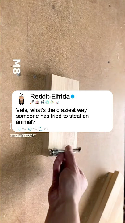 Vets, what's the craziest way someone has tried to steal an animal? #shorts #story #reddit