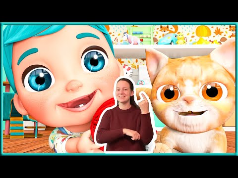 Kitty Cat - Amazing Songs for Children | Viola Kids - Sign Language For Kids - ASL [HD]
