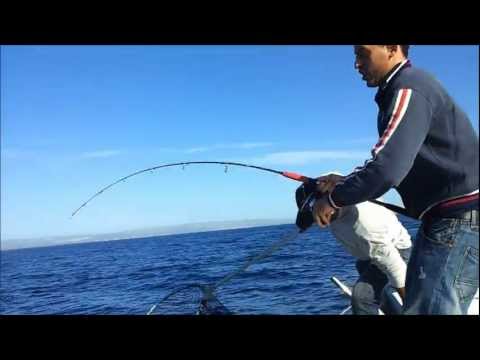 Pesca al dentice gigante di 10 kg Con inchiku speciale