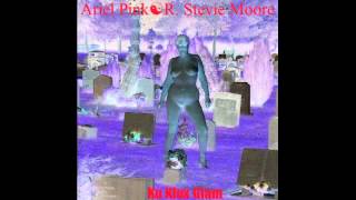 Video thumbnail of "R. Stevie Moore - Come My Way"