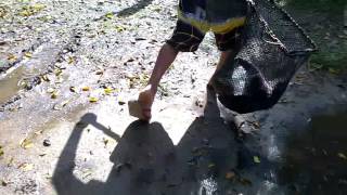 WP 20160523 002