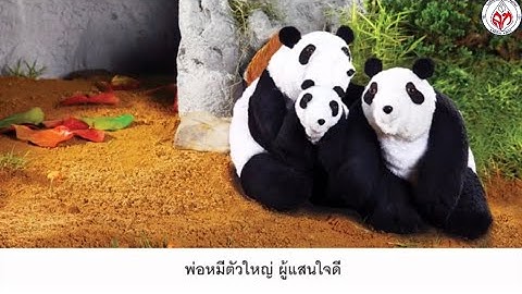 Coding อนุบาล 2-3 วันที่ 7-8 ธันวาคม 2564