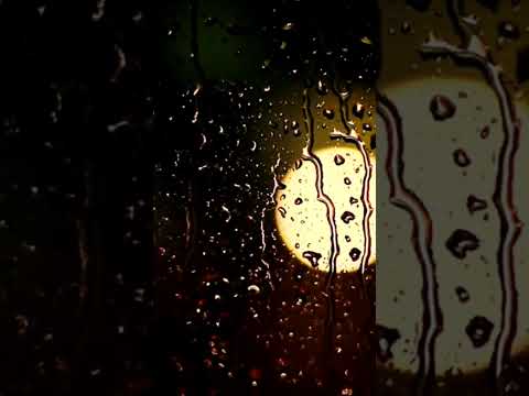 يارب الدنيا بتغير Shorts الراعي الصالح ترانيم