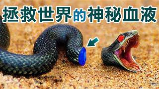 【緊急通報】只需一滴就能顛覆整個世界的「神秘血液」