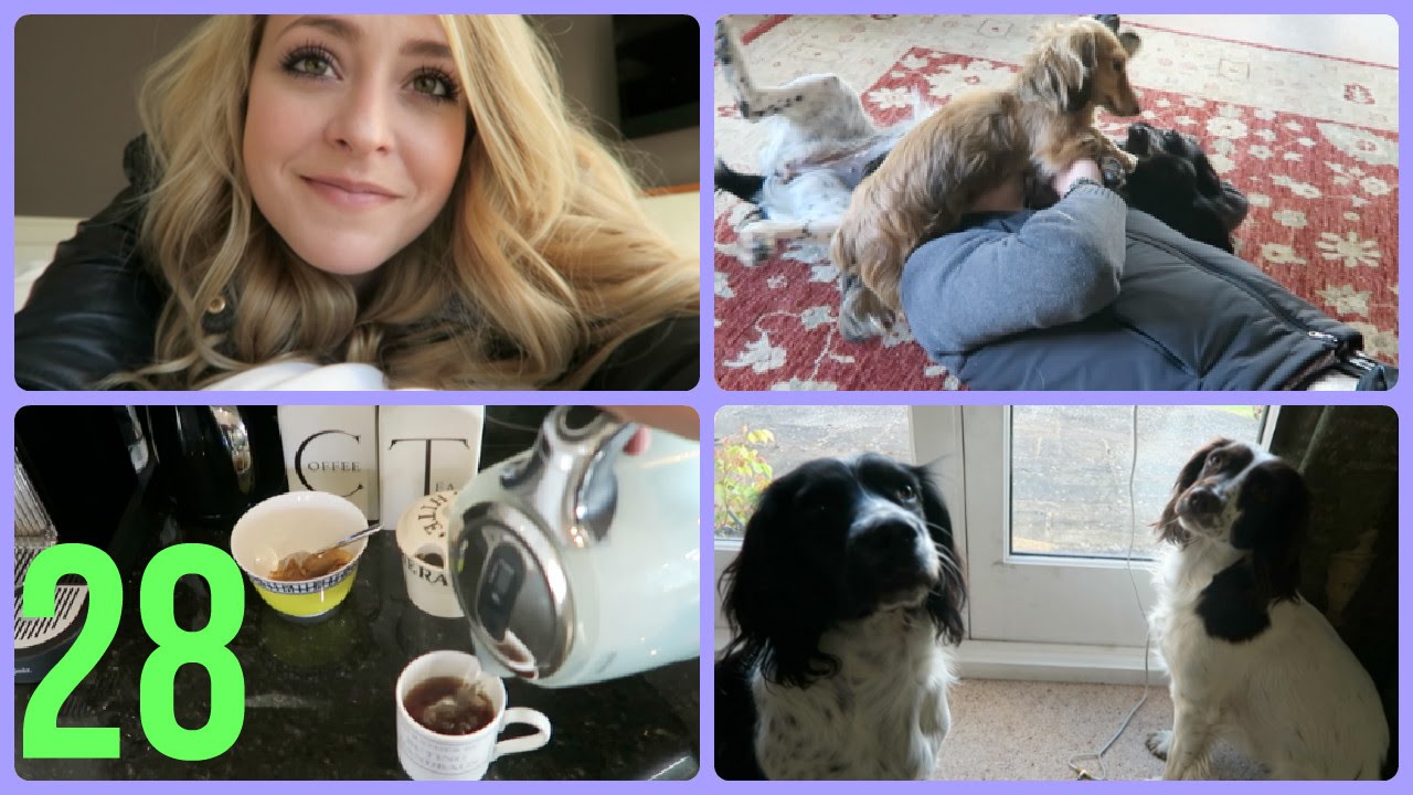 Puppy Vlog Takeover! AprilDeForce 28