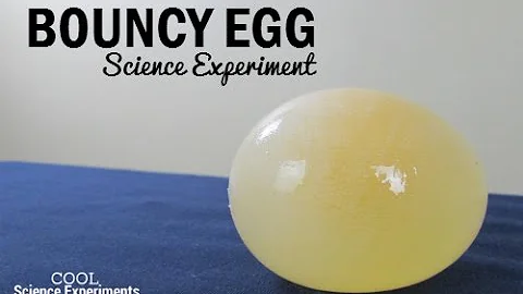 Bouncy Egg Science Experiment