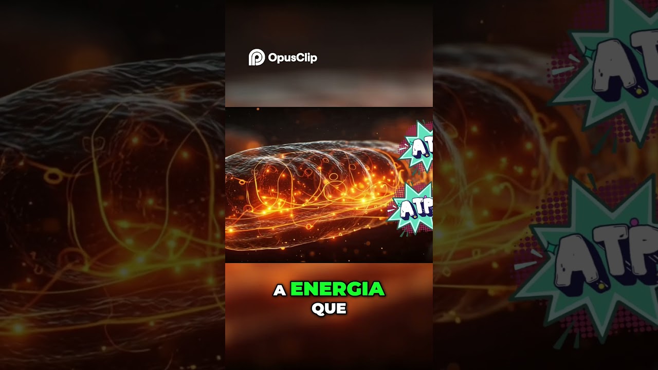 24 Horas Após a Morte: A Verdade Científica Sobre a Decomposição do Corpo