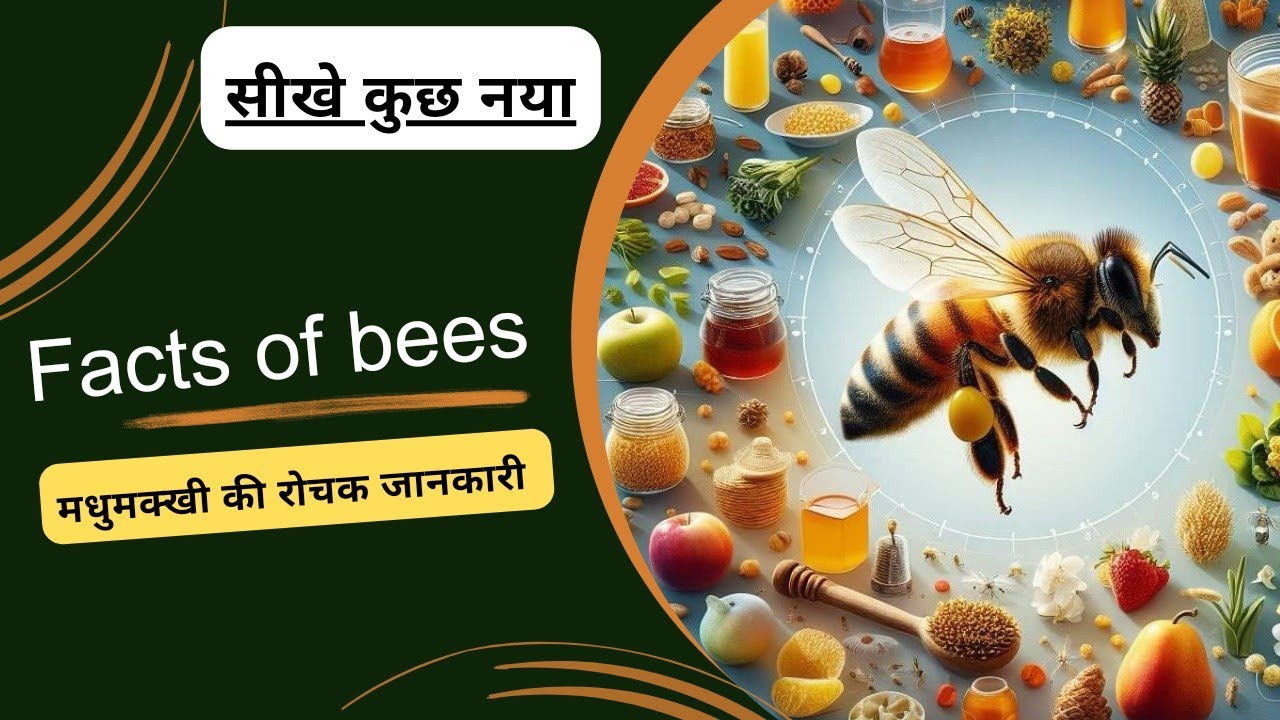 Amazing Facts About Honey Bees ! मधुमक्खियों के बारे में 4 रोचक तथ्य ! 