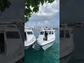 Maldives 🇲🇻 male #travel #music #song #hindisong #cover #beach