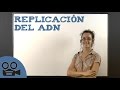 Replicación del ADN