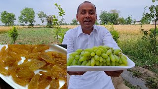 How To Make Raisins At Home Homemade Kishmish Mubashir Saddique Village Food Secrets