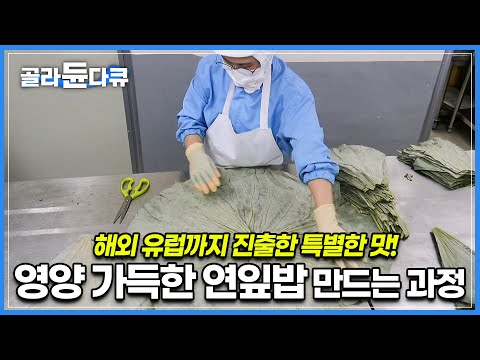 │연잎 농장에서 한 번에 받아 오는 연잎의 양만 무려 약 1톤│영양 가득한 <strong>연잎밥</strong>│극한직업│#골라듄다큐