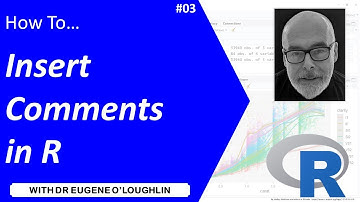 How To... Insert Comments in R #03