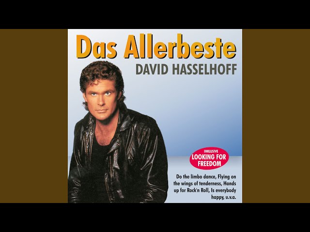 David Hasselhoff - Hands Up For Rock 'N' Roll