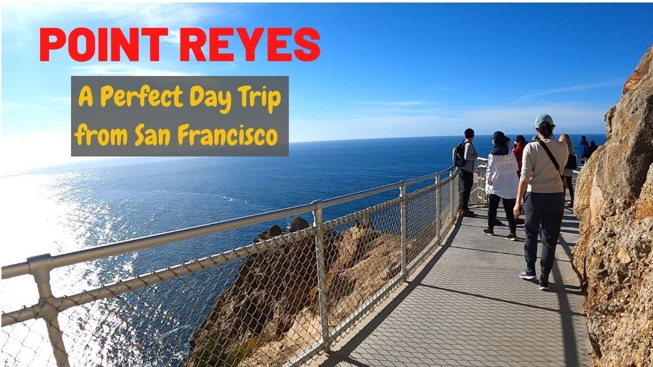 Point Reyes - Places to Visit | Perfect Day Trip | Things to do San Francisco Bay Area California