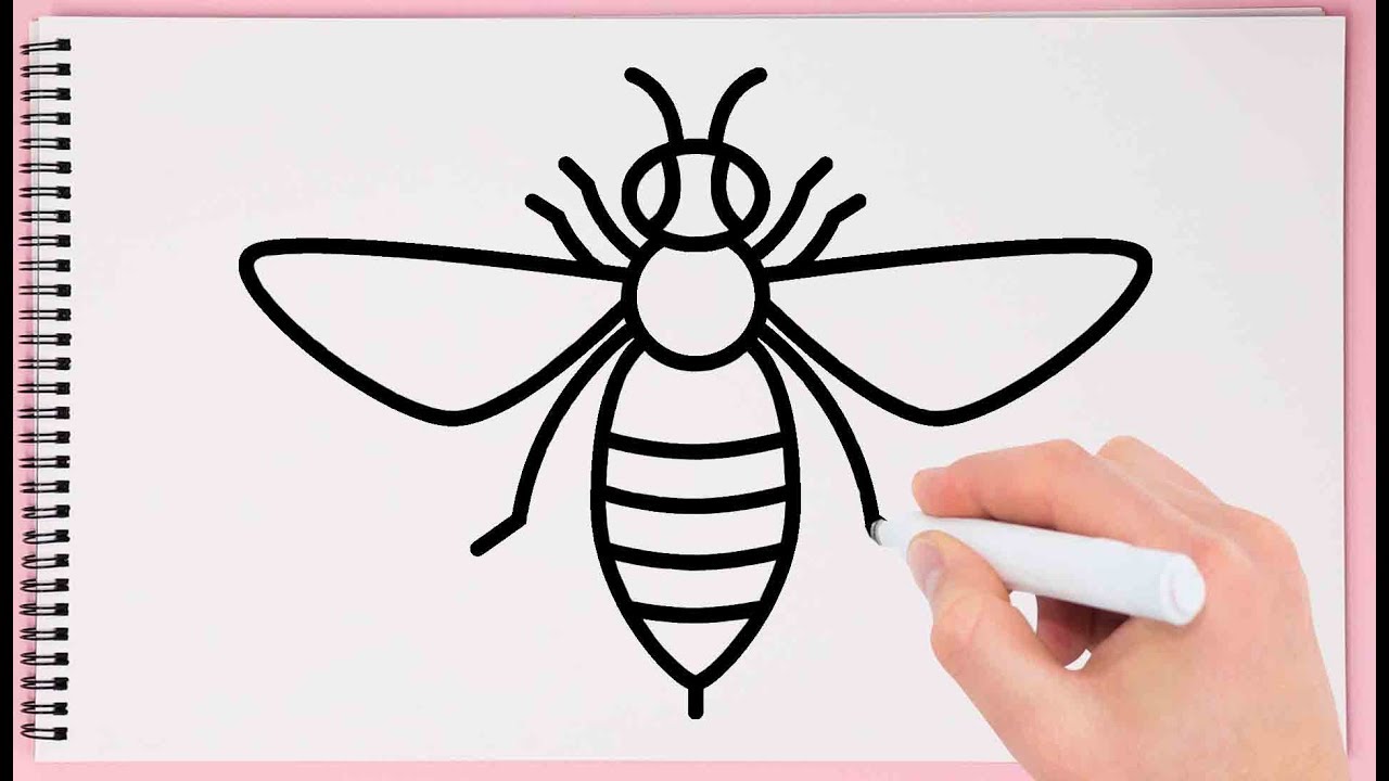 Honey bee or wasp isolated sketch icon striped  Stock Illustration  59882506  PIXTA