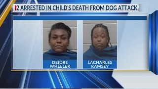Two arrested after dog attack kills toddler