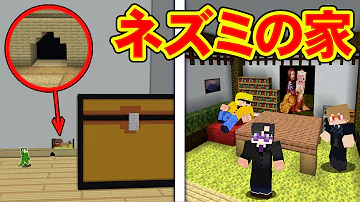 からぴち建築ドア