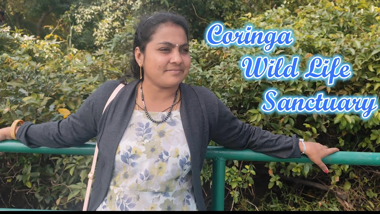 Coringa Wild Life Sanctuary     