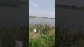 #ni venta aduge vestu ||#భాగామతి మువీ #shortvideo     #viralvideo     #Sri Vishnu's world
