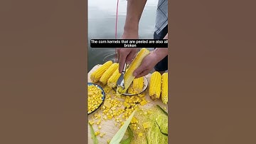 Super Efficient Corn Kernel Remover💐💐🌽🌽