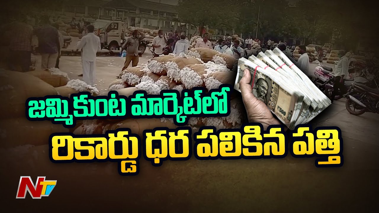 All Time Record Price for Cotton in Jammikunta Market.. Rs 9800 for Quintal for the First Time | Ntv