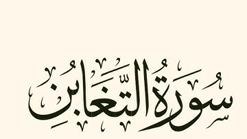 سورة التغابن صهيب سراب