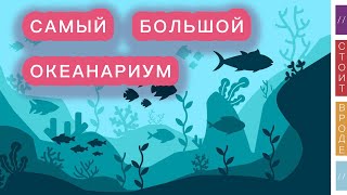 🐠 Самый большой океанариум в мире за сумасшедшие деньги