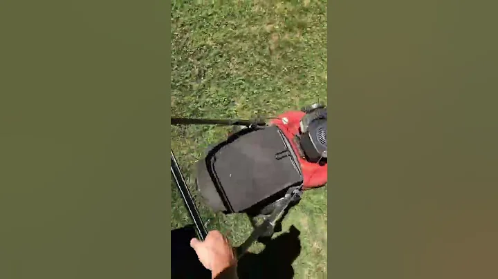 Lawn Mowing | Landscaping in Sacramento and Placer...