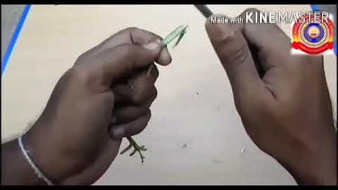 KRSMA#Standard 7 Basic Science Part 4 Chapter 1 Reaping Gold From Soil.