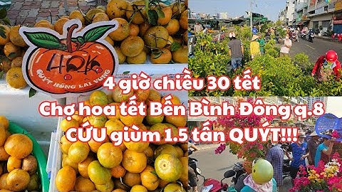5 giờ chiều 30 tết, Chợ hoa tết TRÊN BẾN DƯỚI THUYỀN q.8: CỨU! Còn 1.5 tấn Quýt, 40k - Tắc lớn 300k