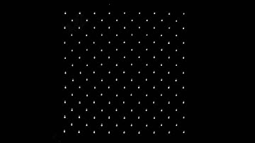 VIBRATIONS IN A SQUARE LATTICE