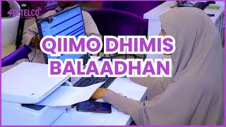 Qiimo Dhimista Ciidda
