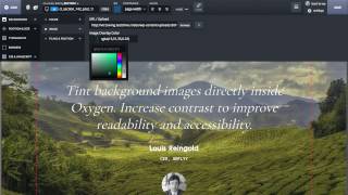 Oxygen - Visual Website Design, Inside WordPress