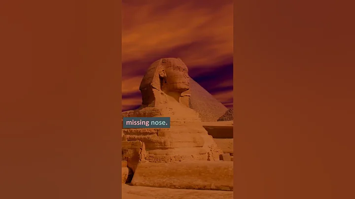 Video 3231021: sphynx explore, sphinx