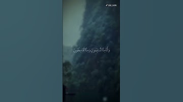 سورة الجن | ياسر الزيلعي