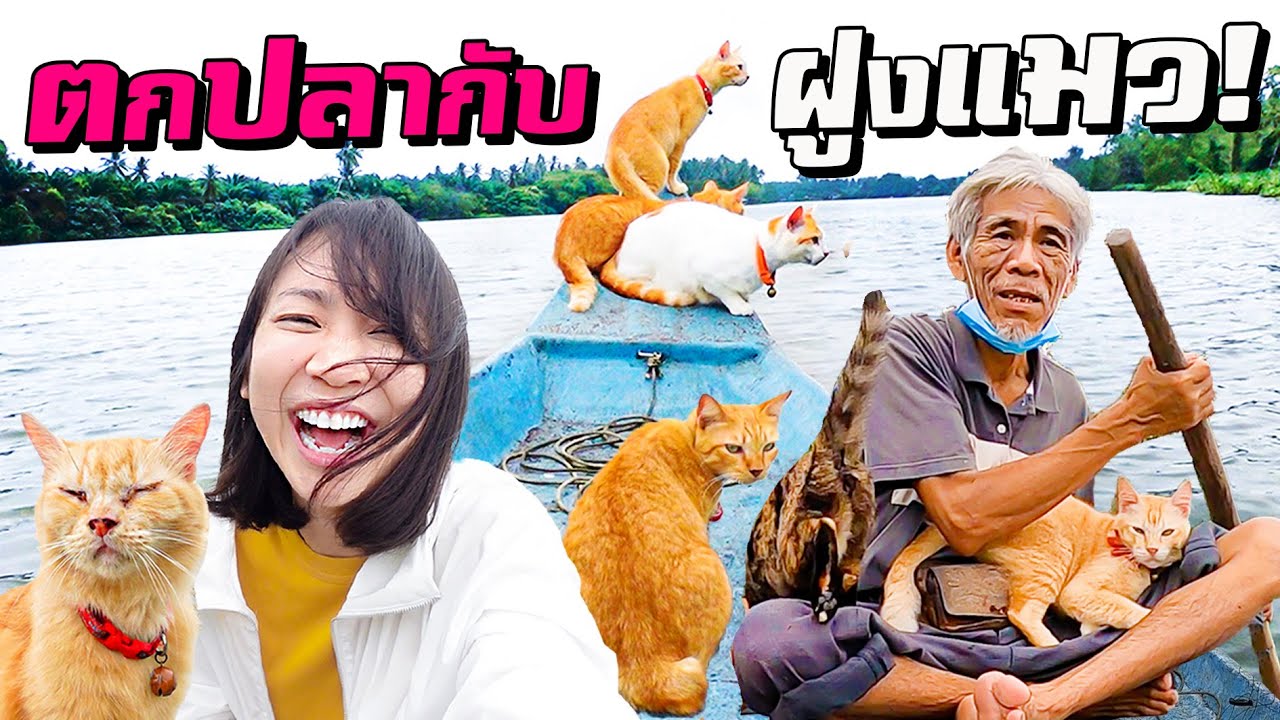 ออกทะเลตกปลากับฝูงแมว!