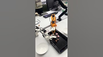 GR00T N1 on LeRobot SO-100