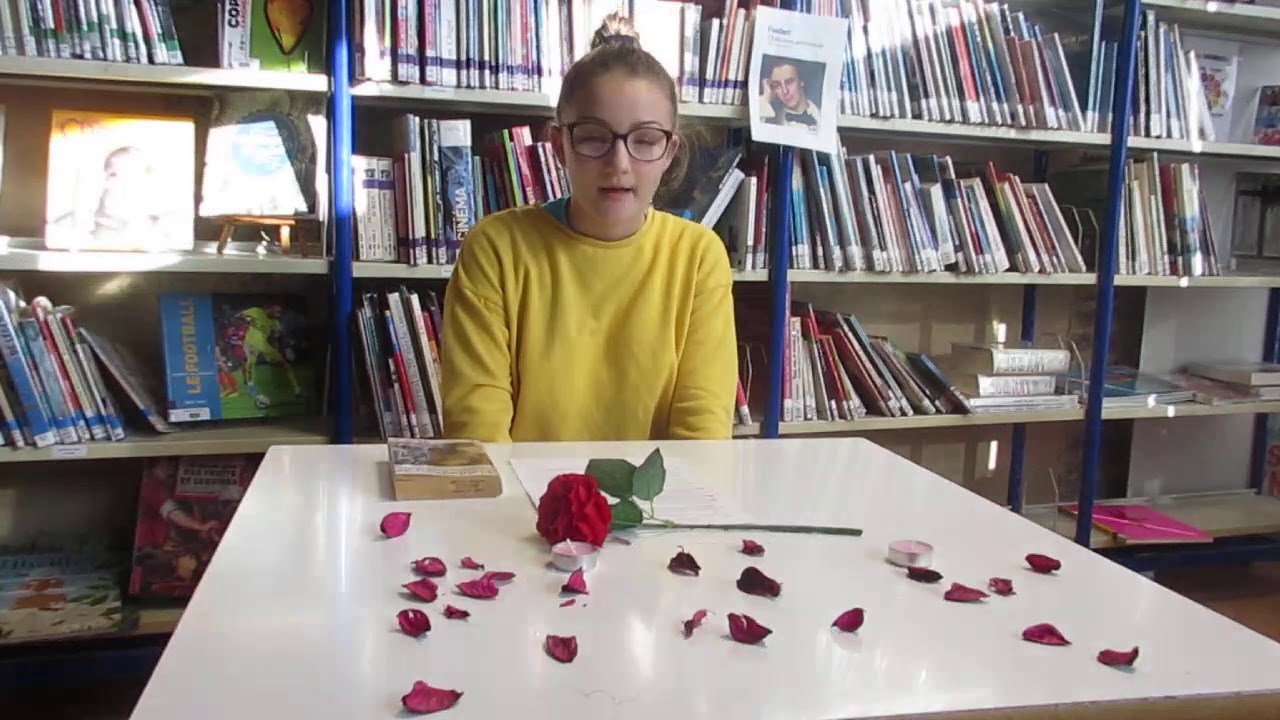 L'éducation sentimentale, Gustave Flaubert YouTube L'éducation sentimentale, Gustave Flaubert YouTube