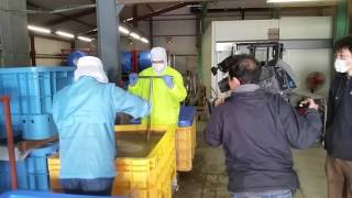 便利な隠し味おすすめ調味料瀬戸内コラトゥーラ山口県平生町