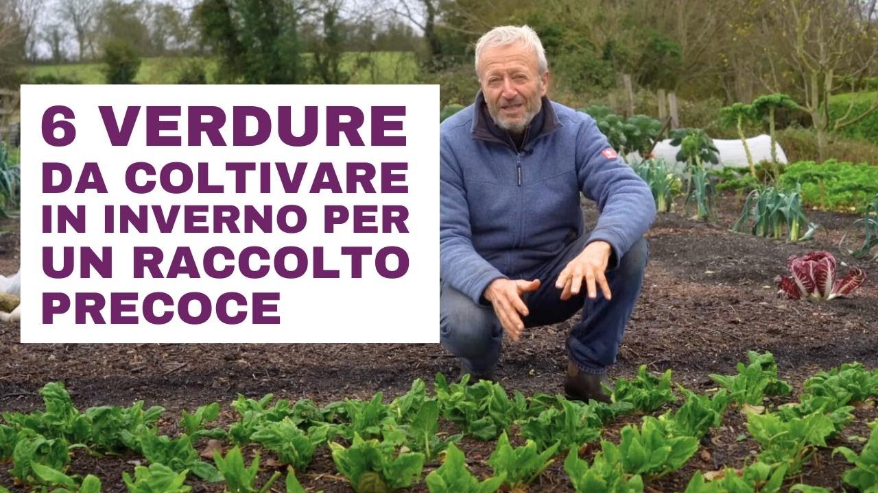 6 verdure da coltivare in inverno per un raccolto anticipato - YouTube