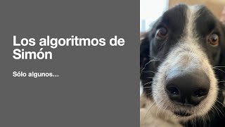 Los algoritmos de Simón Profile