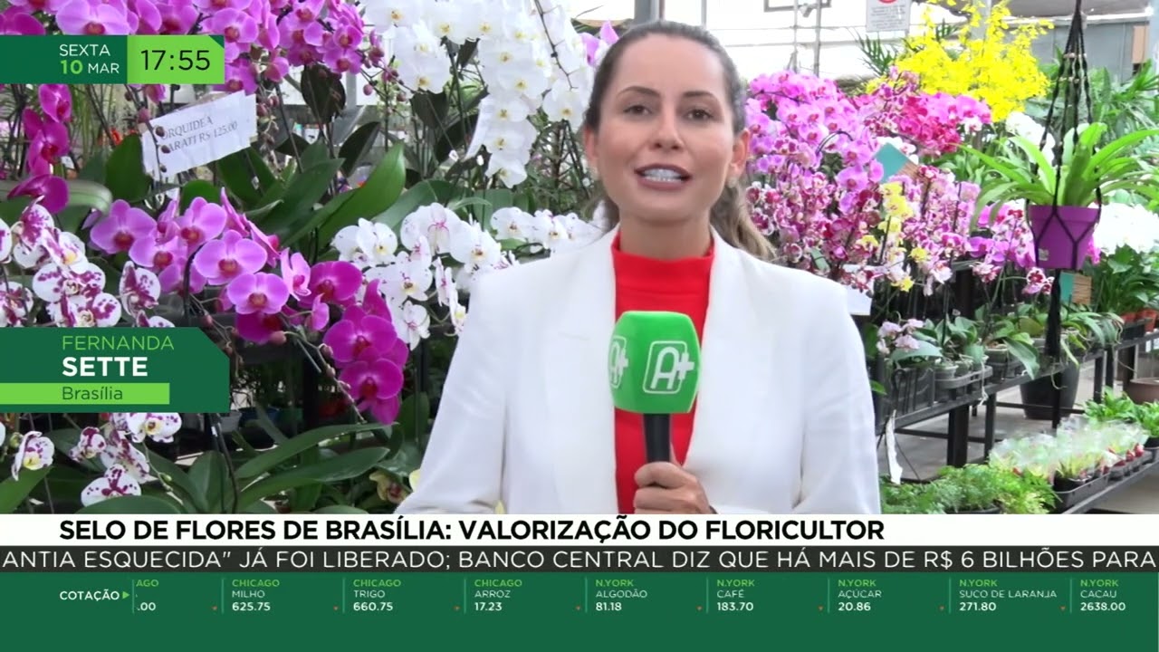 Selo de flores de Brasília: Valorização do floricultor