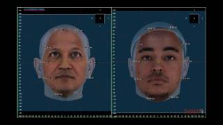 MIUK 3D / 4D Scanning Service - Acquisition and Analysis