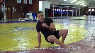 Beast Side Kick