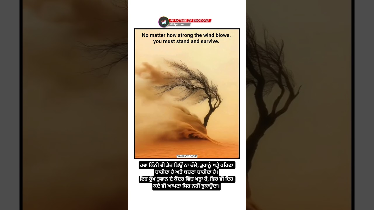 No matter how strong the wind blows, you must stand and survive 