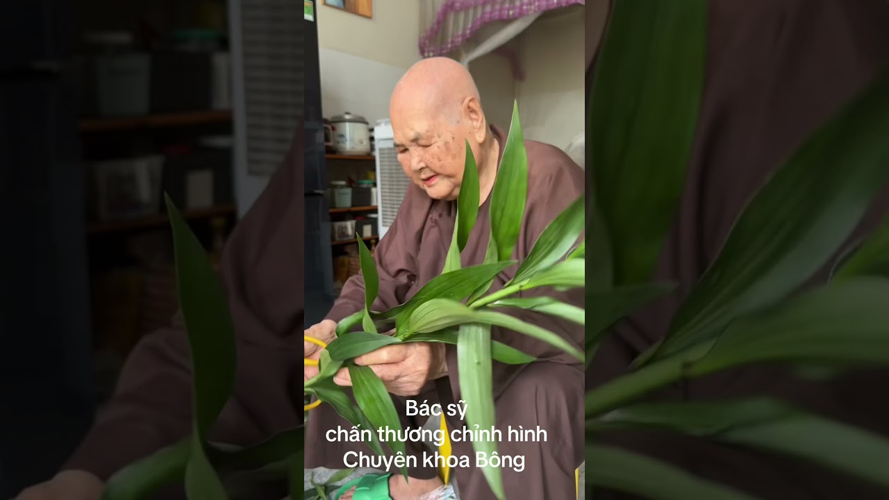 250912 Khi Sư Má cũng thành… bác sĩ chỉnh hình cho bông cúng Phật 🌸🙏