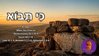 Covenant: Written in Stone